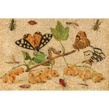 Insects Fruits Wooden Jigsaw Puzzle