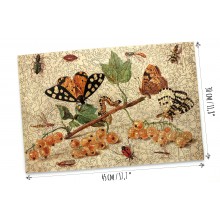 Insects Fruits Wooden Jigsaw Puzzle